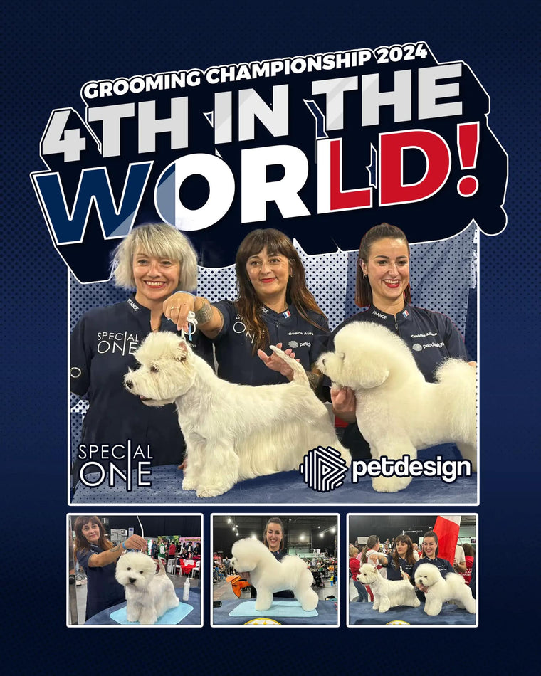 🇫🇷 La France sur le Podium des Championnats du Monde de Toilettage 2024 🏅🐾