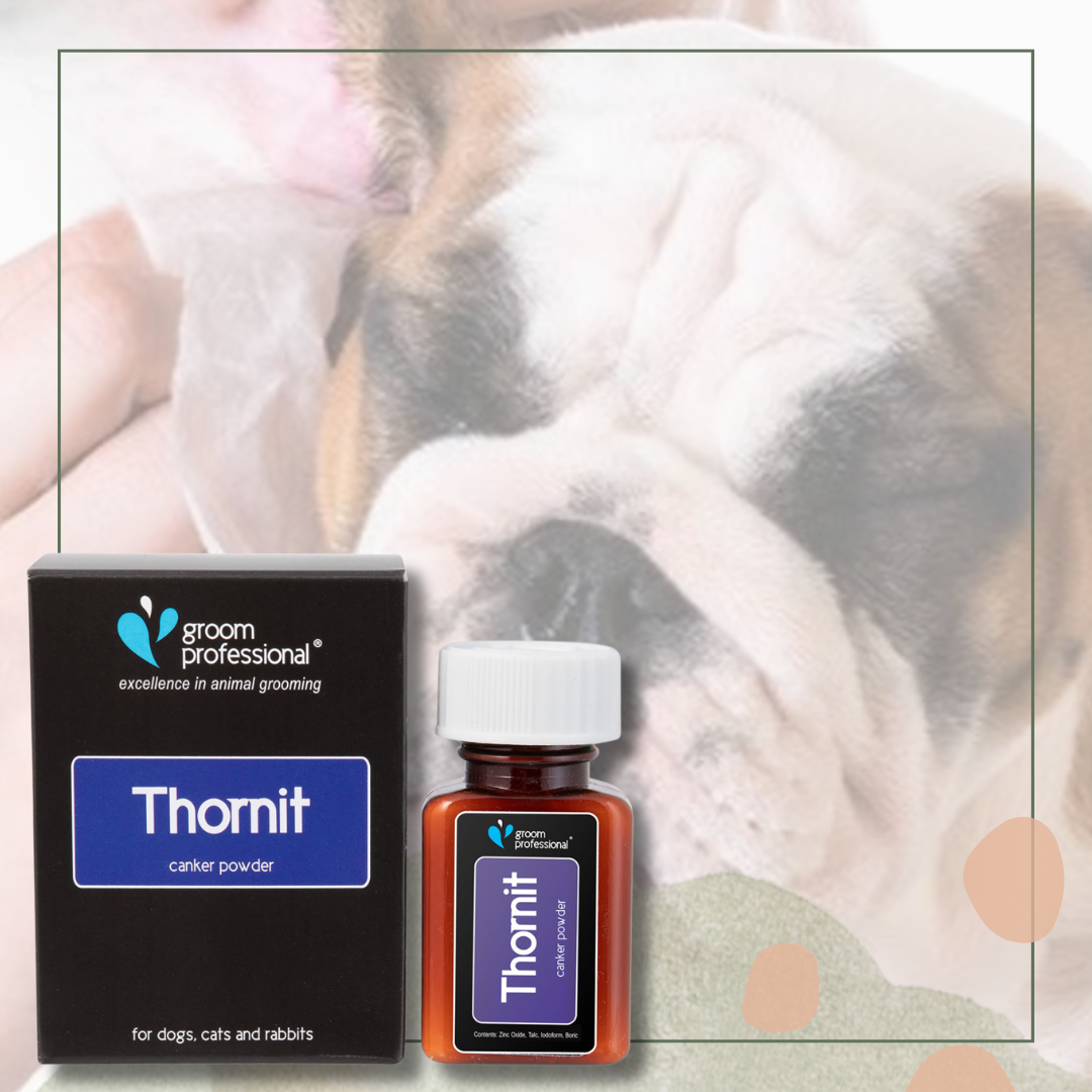 Thornit : traitement oreilles