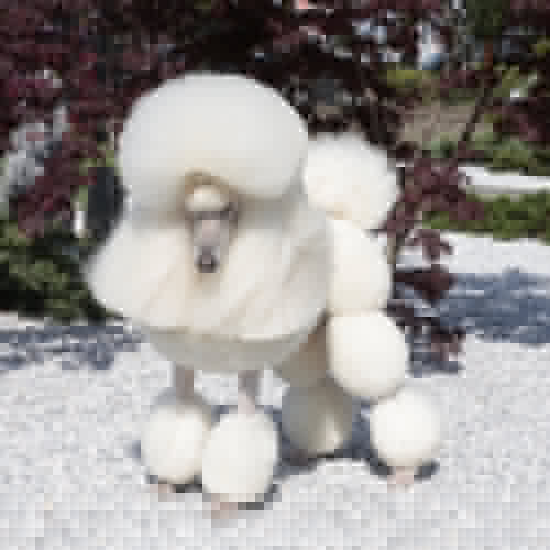 La R&D chez Special One