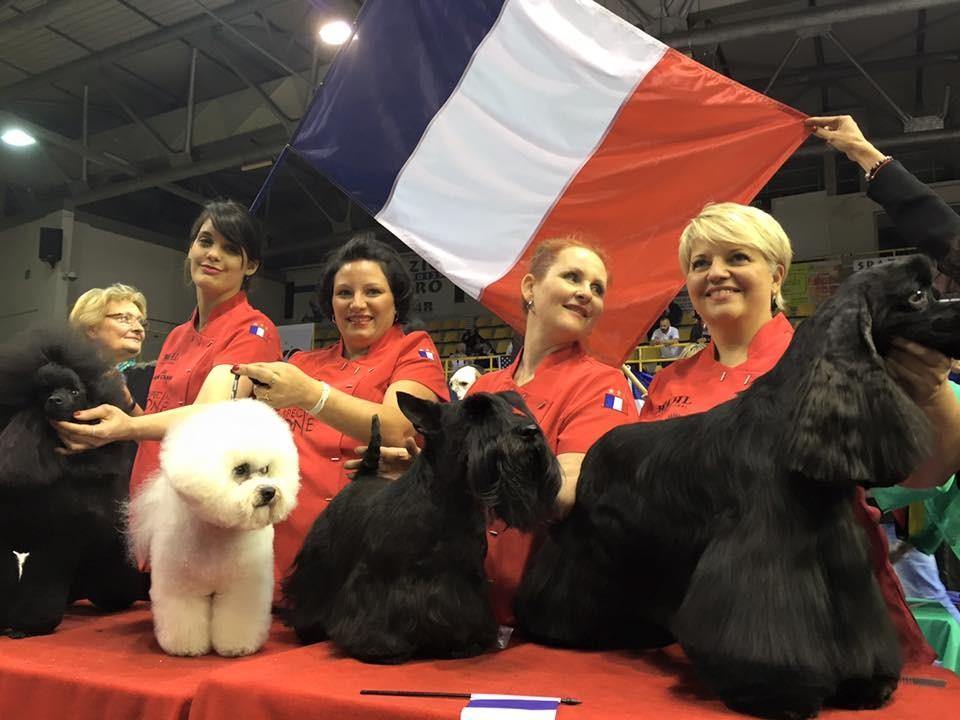 Salon de Toilettage - PetDesign.fr