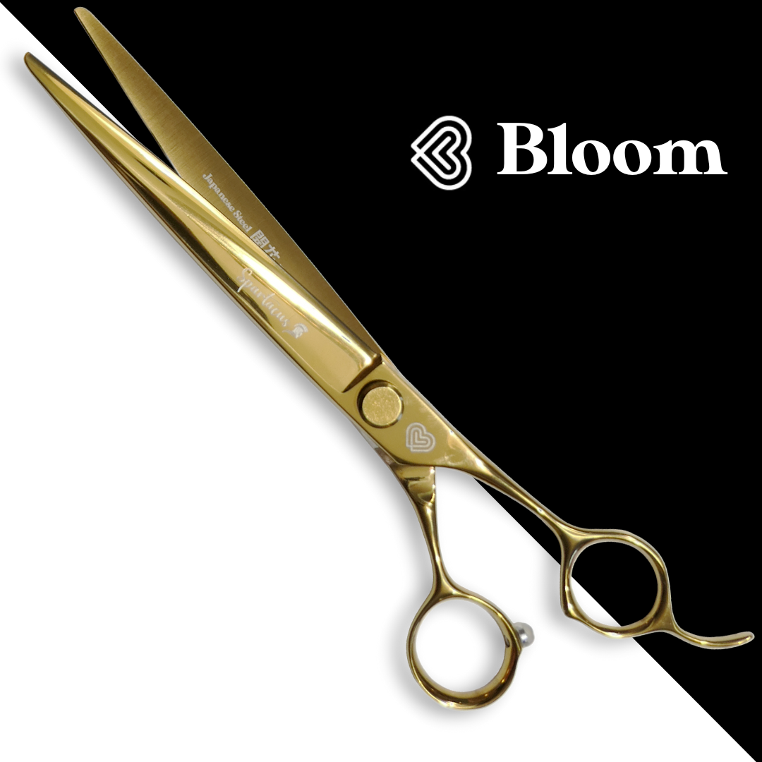 SPARTACUS ☆ Droits 19cm ☆ Ciseaux Bloom