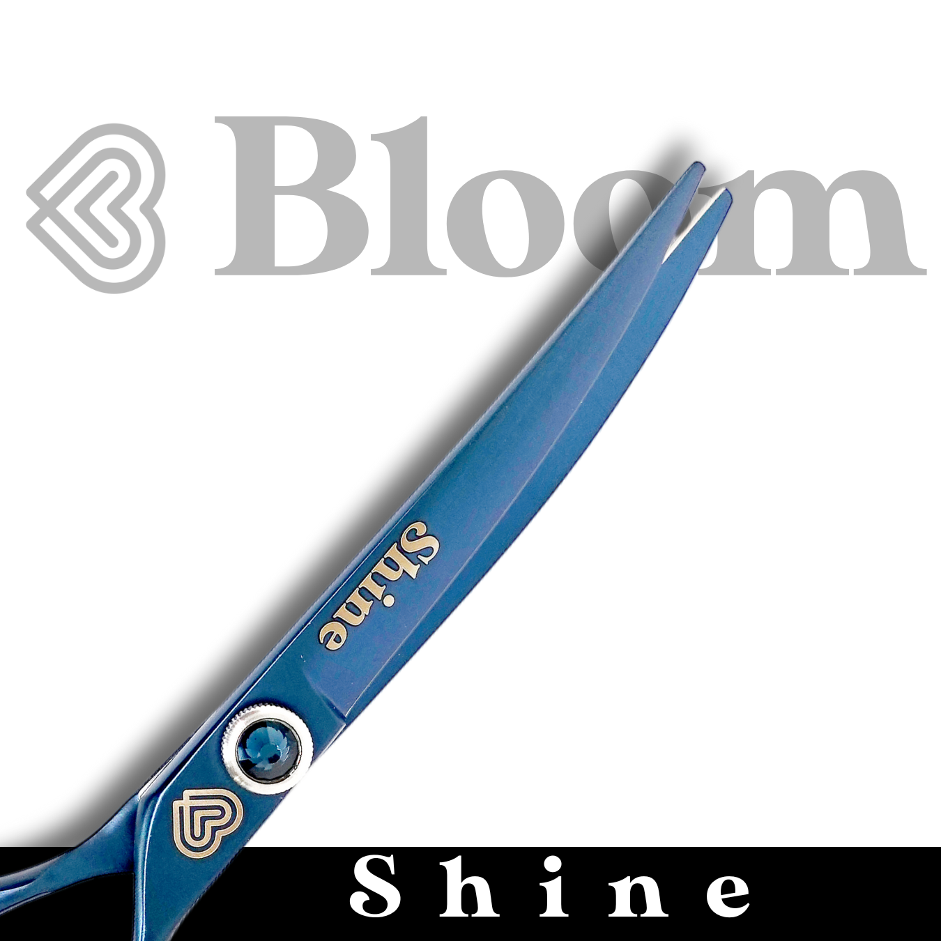 SHINE ☆ Courbes pour coupes Asian 17cm 40° ☆ Ciseaux Bloom