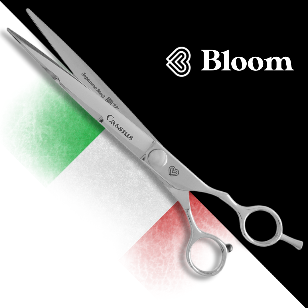 CASSIUS ☆ Droits micro-dentés 20cm ☆ Série Speciale 🇮🇹 Bloom