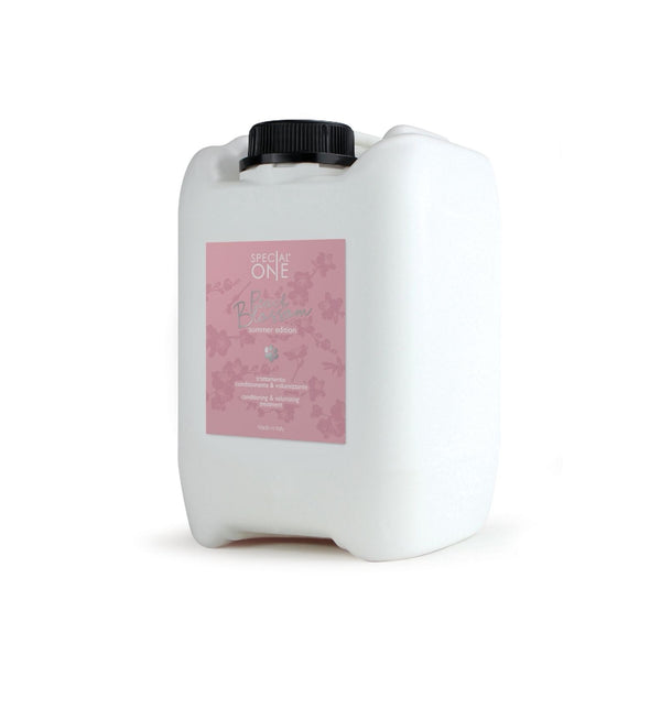 shampoing volume toutes races salon de toilettage