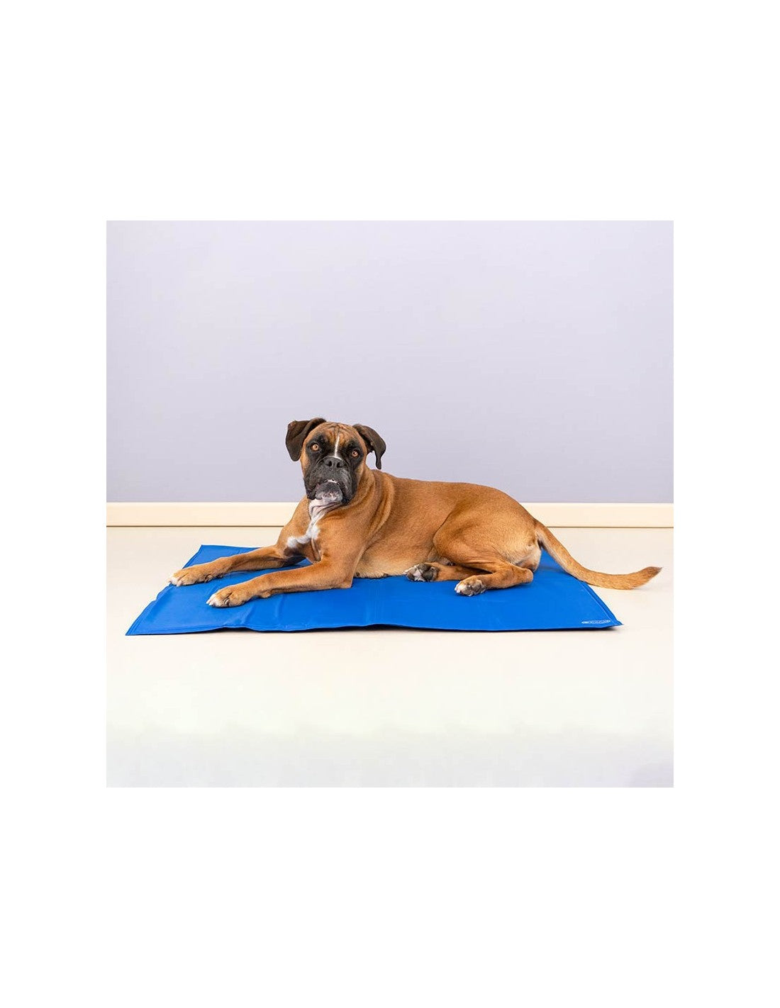 Tapis rafraichissant IBA – photo 3