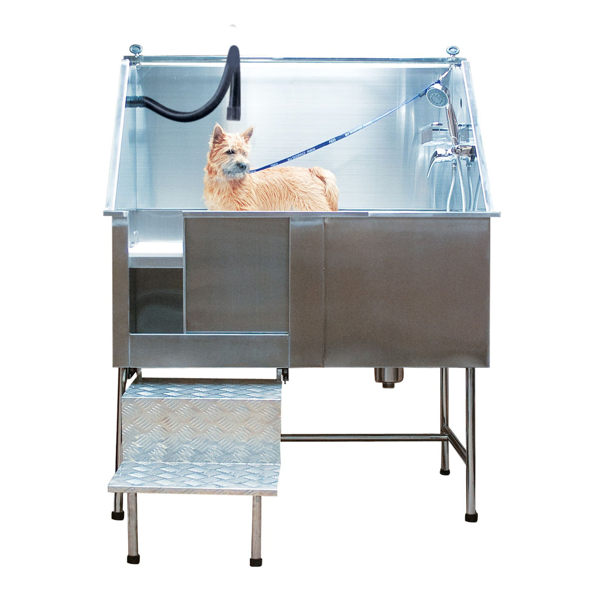 Baignoire inox avec escalier Phoenix Universal : chien installé porte ouverte