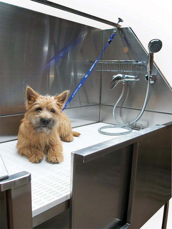 Baignoire inox avec escalier Phoenix Universal : terrier dans la baignoire