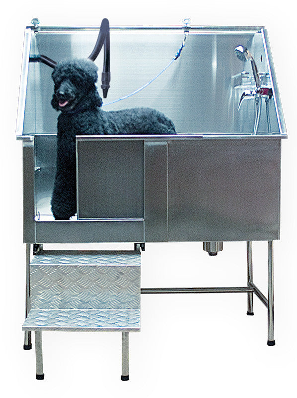 Baignoire inox avec escalier Phoenix Universal : vue de côté avec escalier