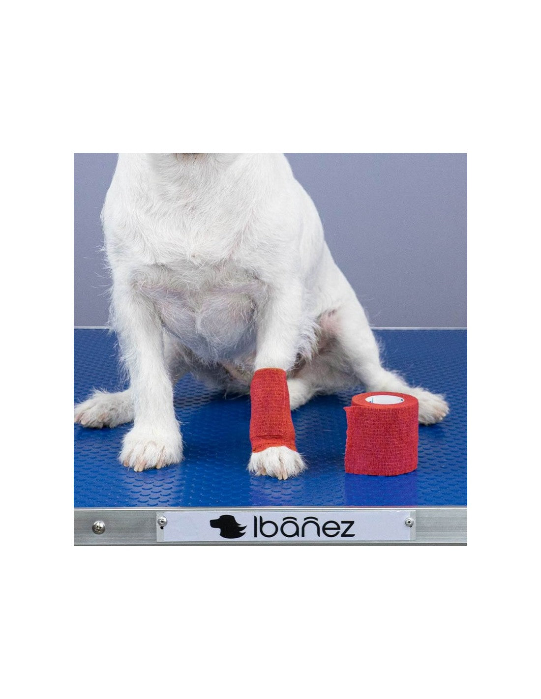 Bandage Elastique Cohésif Wrap pour chien – photo 7