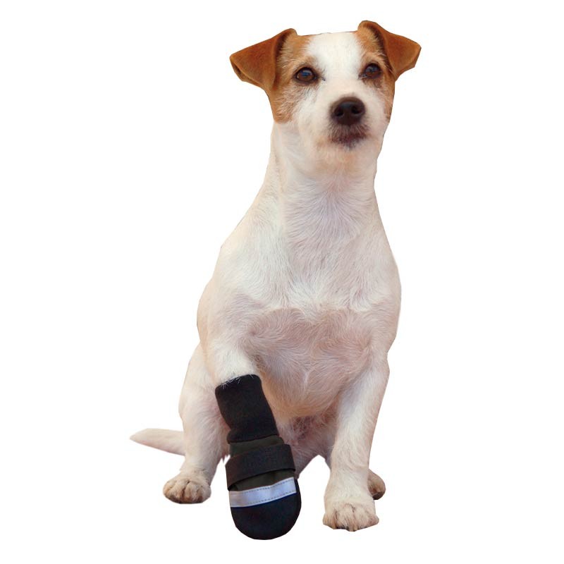 Bottines de protection Ibáñez Rainout pour chien (lot de 2) photo 4