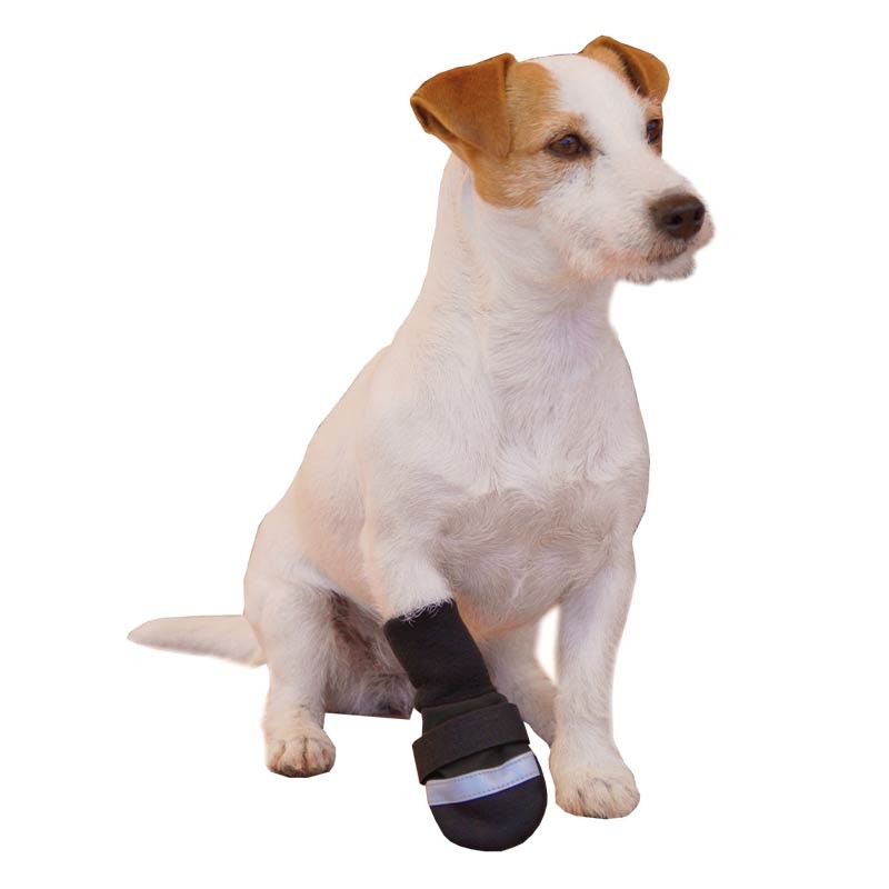 Bottines de protection Ibáñez Rainout pour chien (lot de 2)