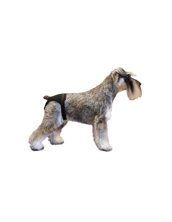 Noir Chien Heat Pants - Size 0