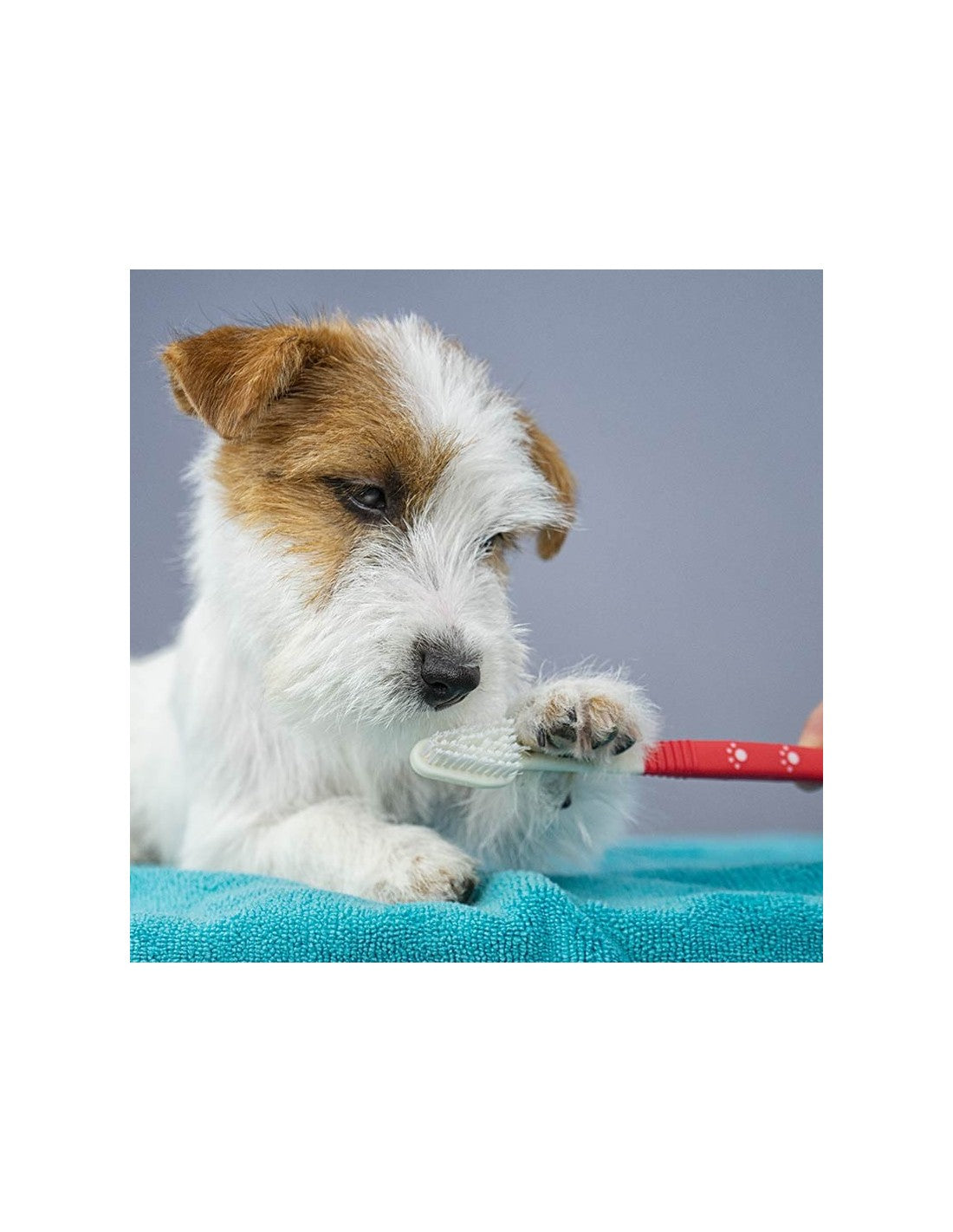 Ibáñez Extra Long Brosse À Dents Double – photo 3