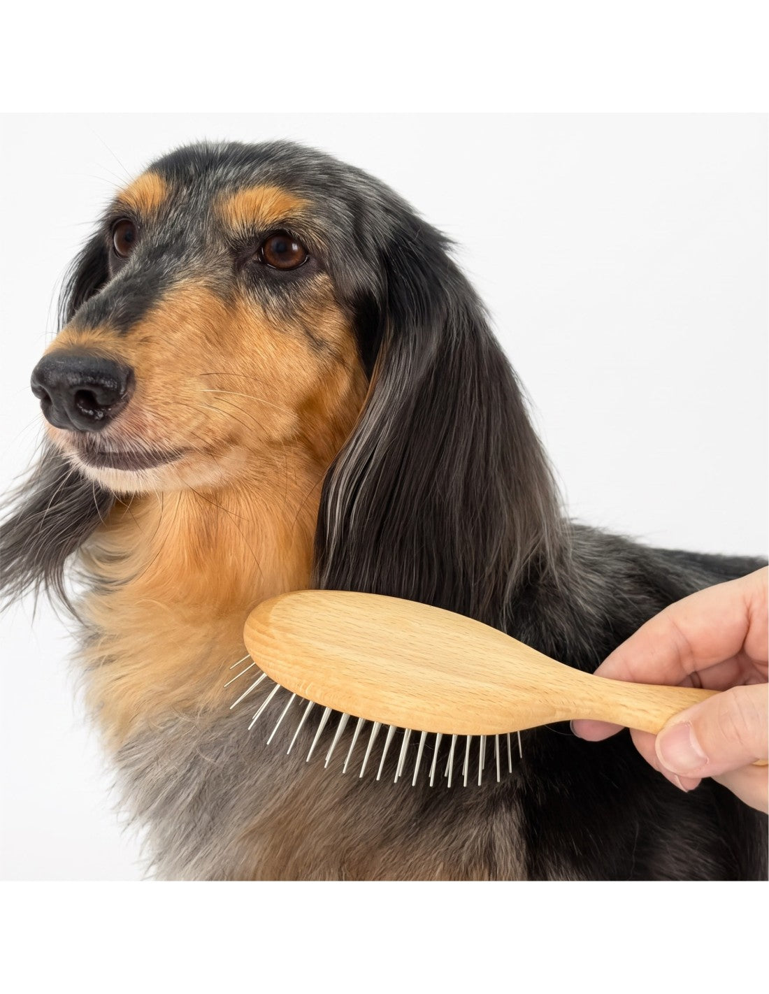 Brosses à picots souples (pin brush) – photo 7