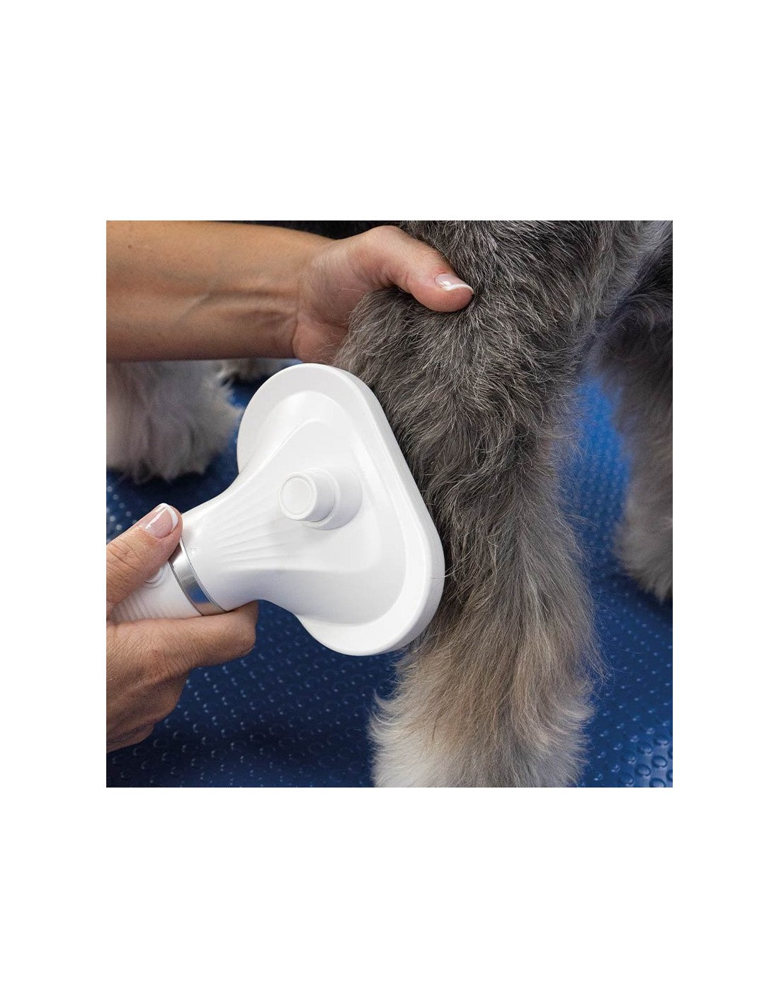 Brosse séchante Ulysse - Idéal pour Particuliers – photo 3