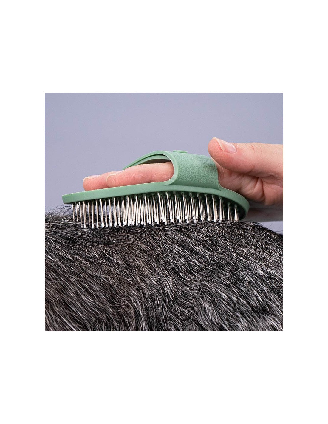 Brosse pour Terriers – photo 3