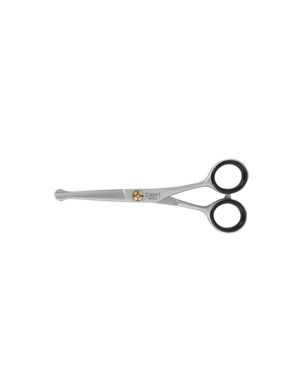Ciseaux Droits Avec Bouts Arrondis Ibá Capri 13.5cm