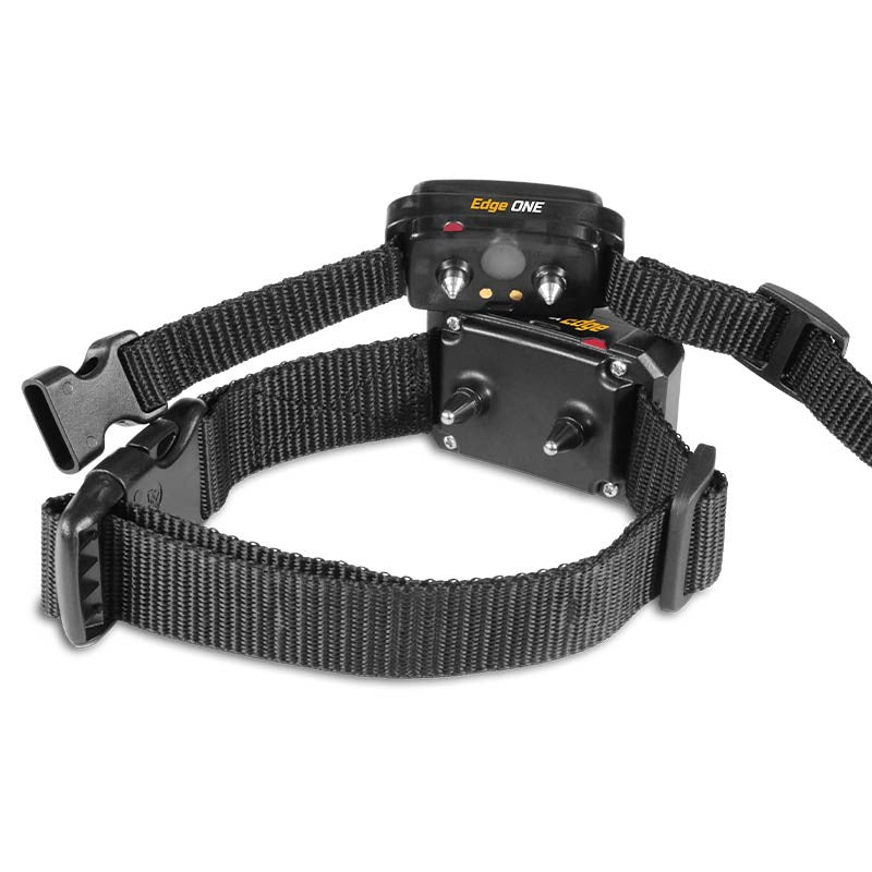 Collier additionnel Dogtrace d-control EDGE et EDGE ONE photo 5