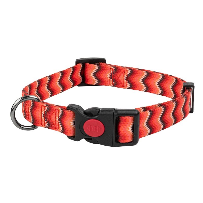 Collier nylon Ibáñez Fantasy Snake et My Dog pour chien