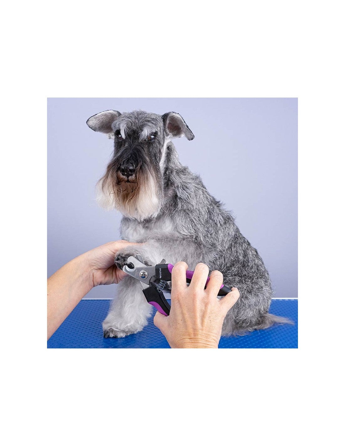 Coupe Ongles (plusieurs tailles) – photo 15