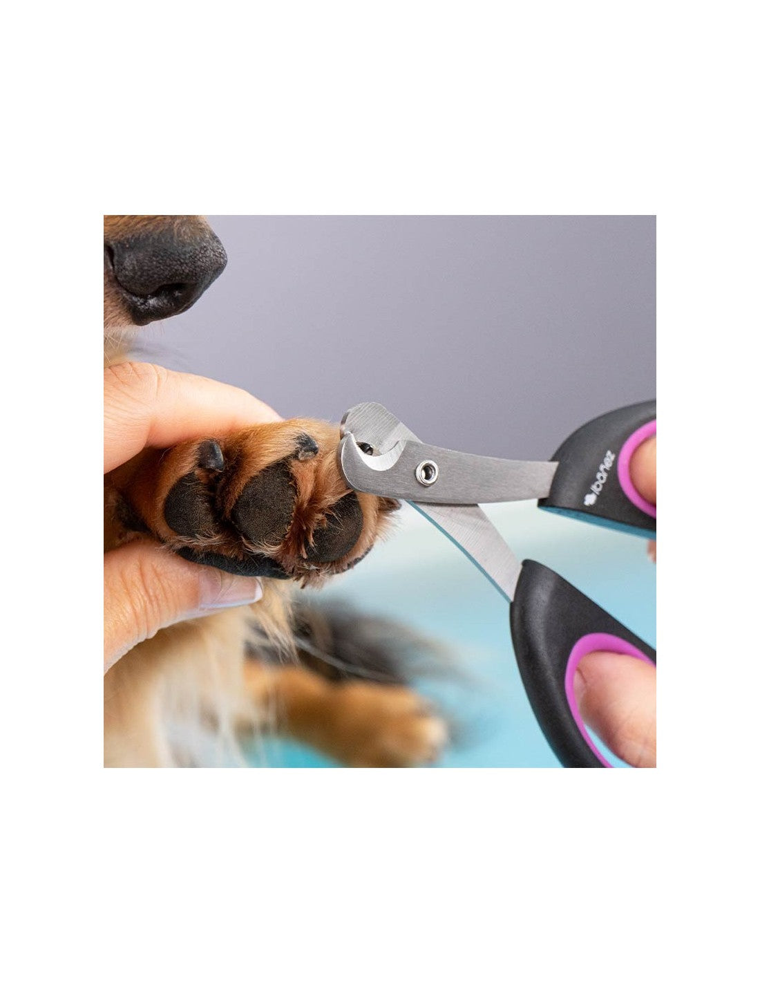 Coupe Ongles (plusieurs tailles) – photo 5