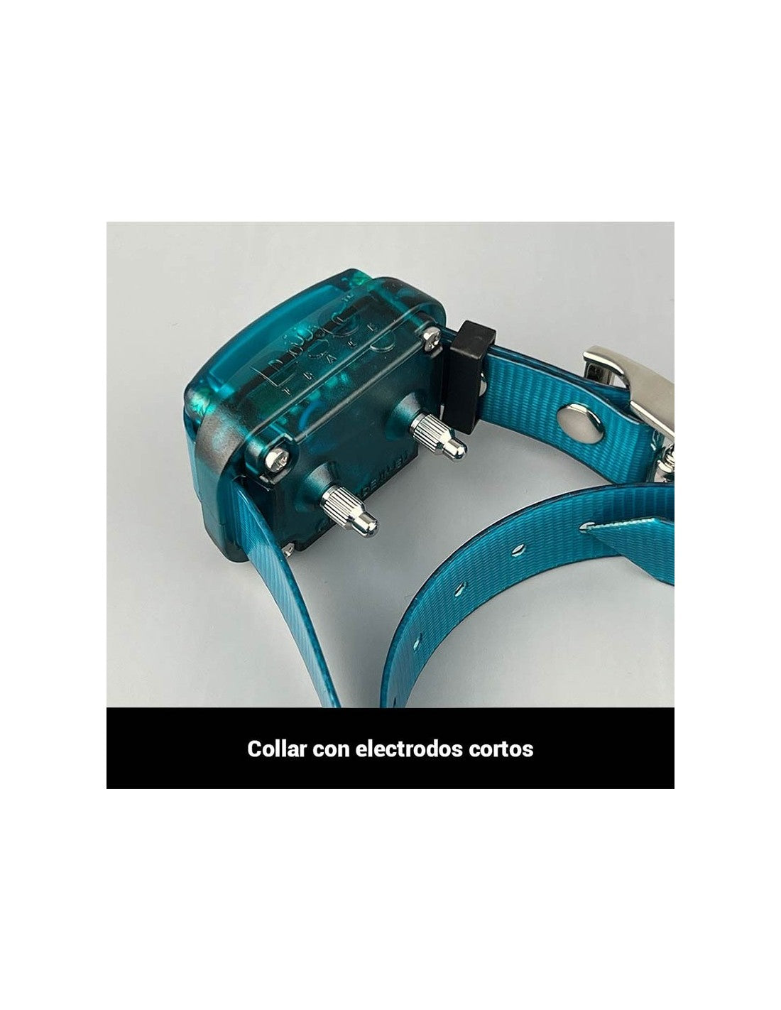 Collier de dressage DogTrace d-control 600 / 1000 / 1600 mini+ – photo 4