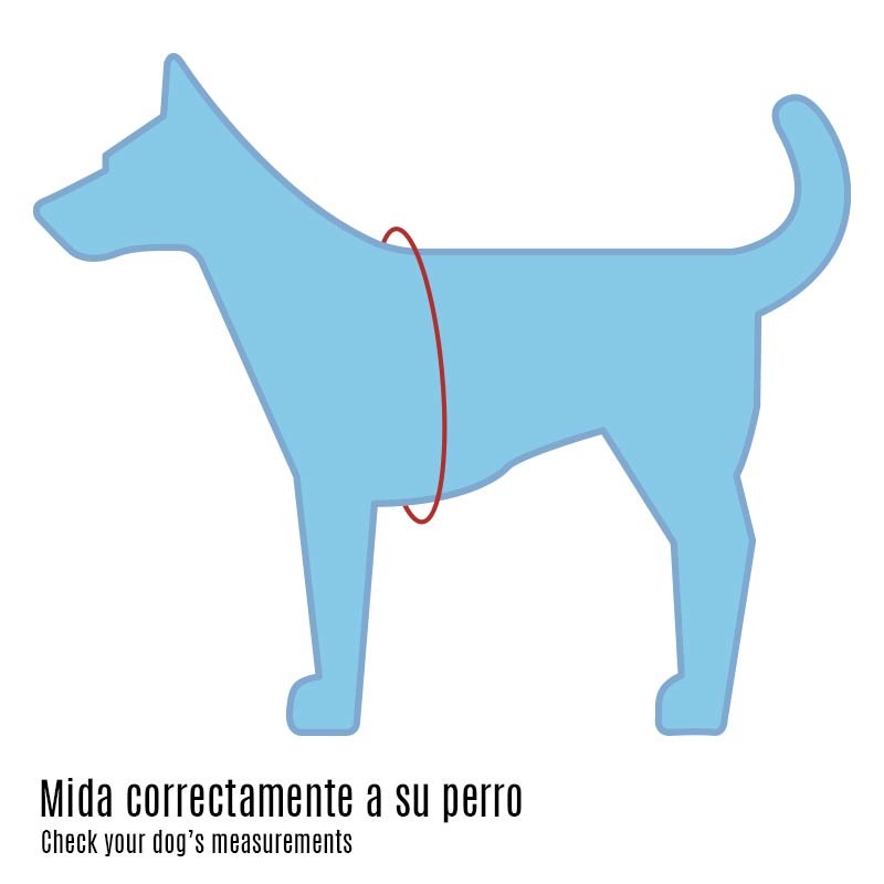 Harnais Active rembourré et réfléchissant pour chien moyen et grand photo 6
