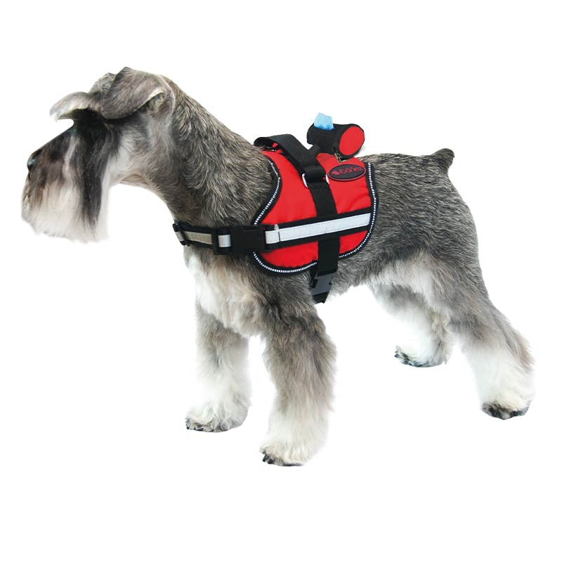 Harnais Active rembourré et réfléchissant pour chien moyen et grand photo 7