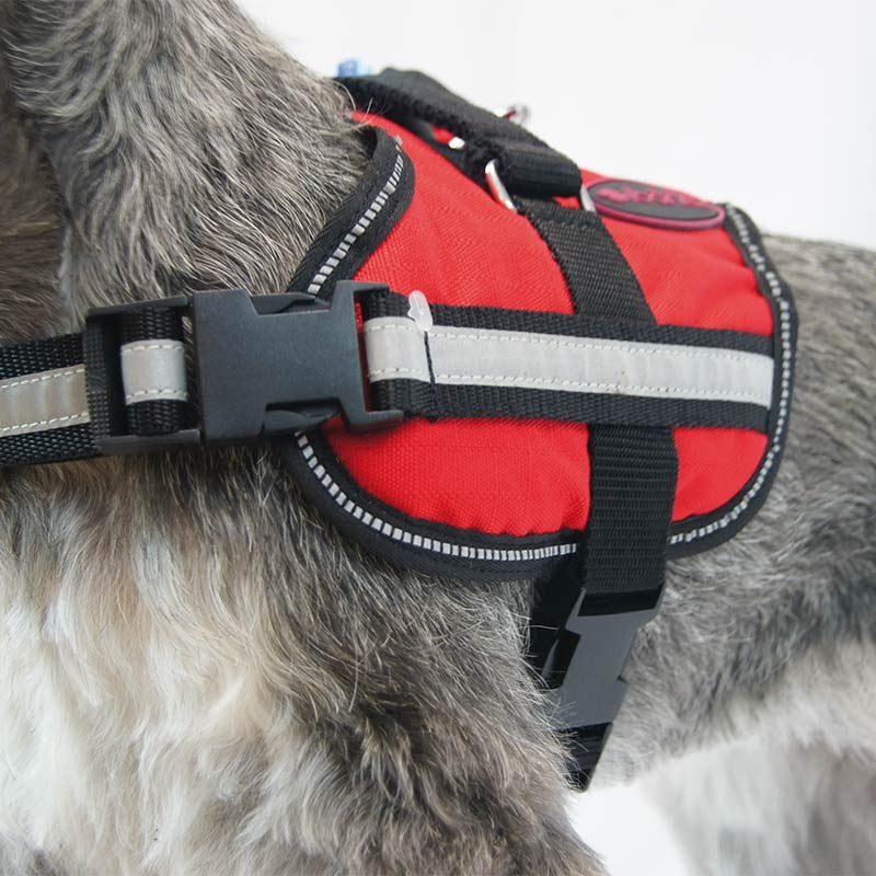 Harnais Active rembourré et réfléchissant pour chien moyen et grand photo 9