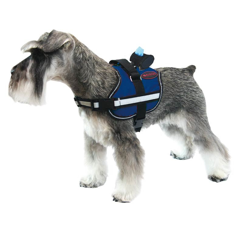 Harnais Active rembourré et réfléchissant pour chien moyen et grand