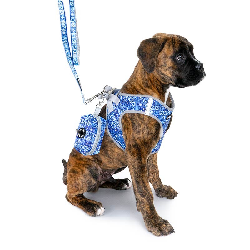Harnais rembourré Ibáñez Glam Mosaic pour petit chien photo 2