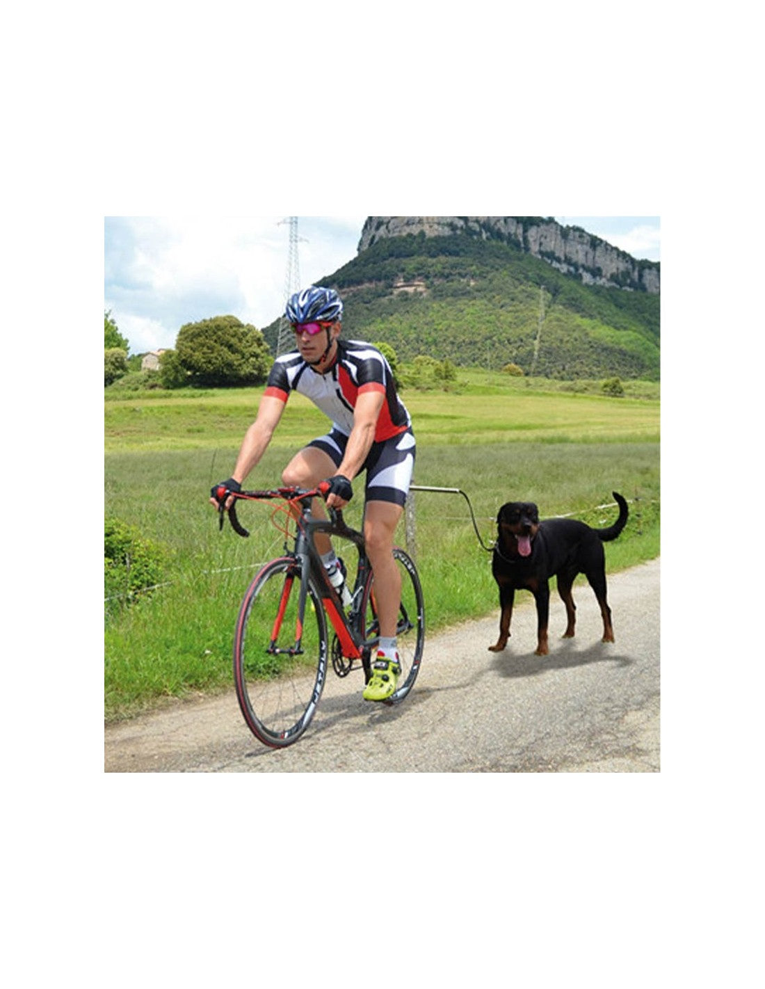 Ibá Dogcycle