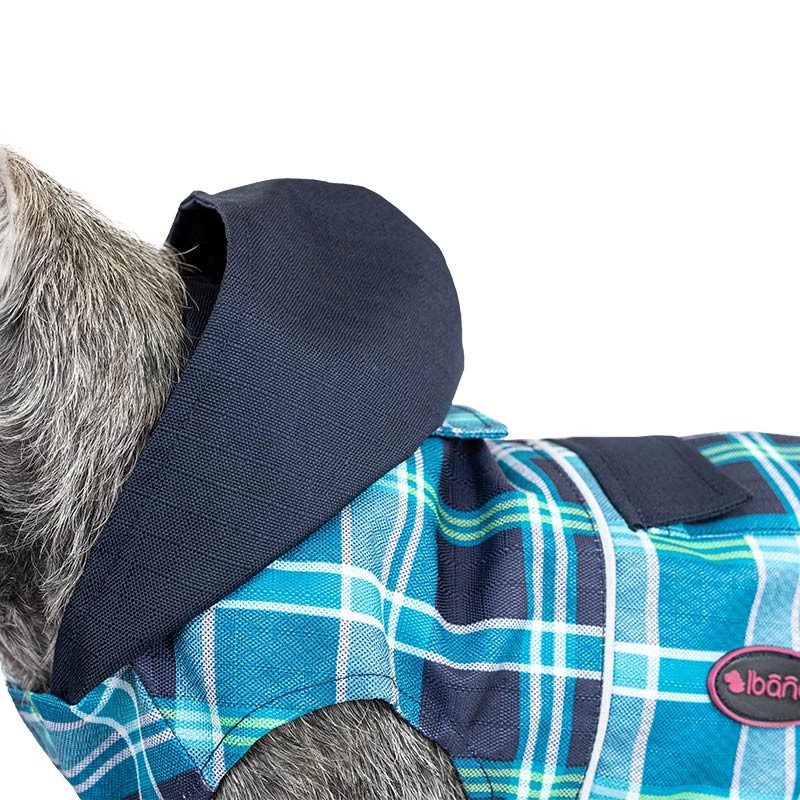 Imperméable à capuche bleu ciel à carreaux pour chien photo 2