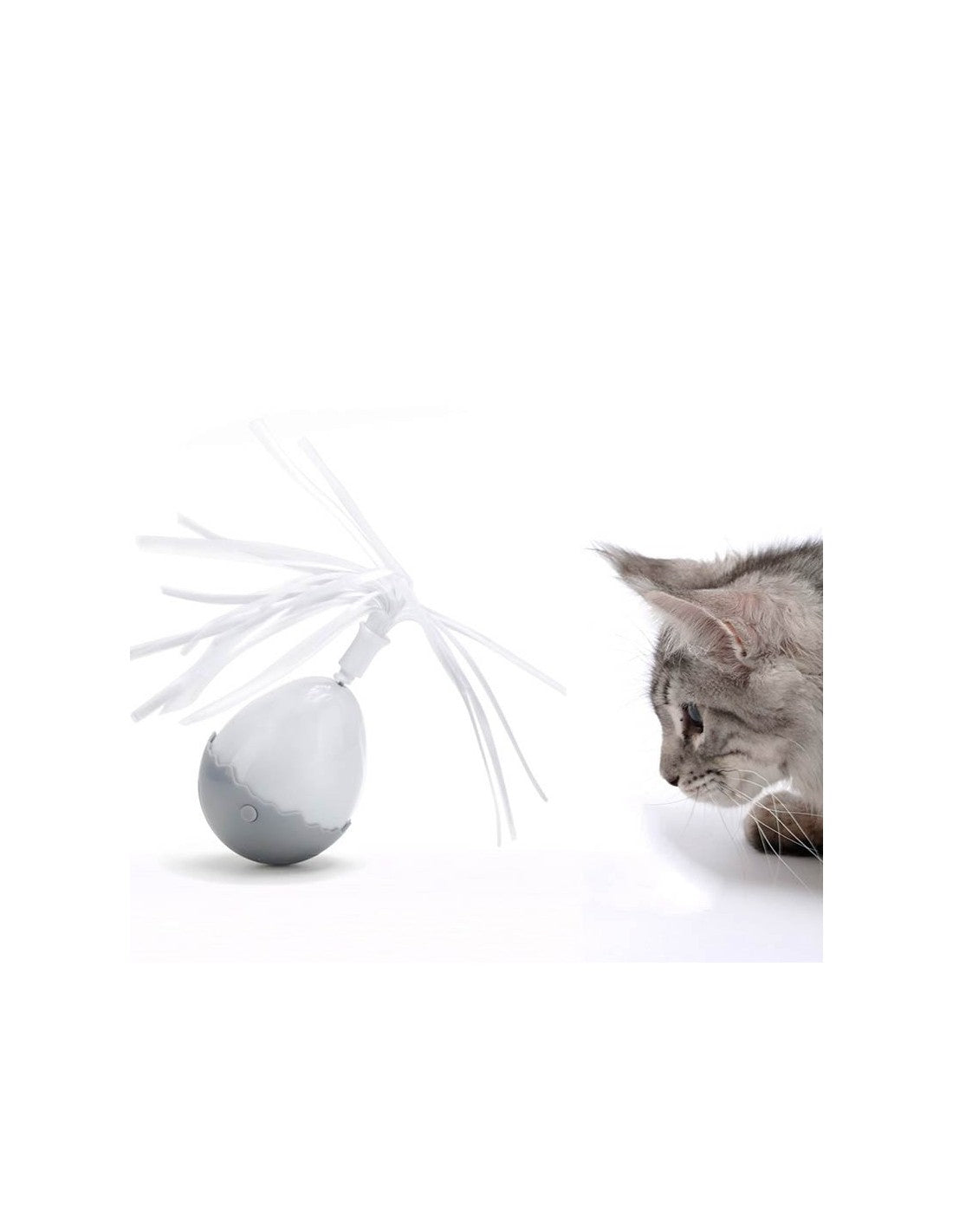 Oeuf électronique – photo 2