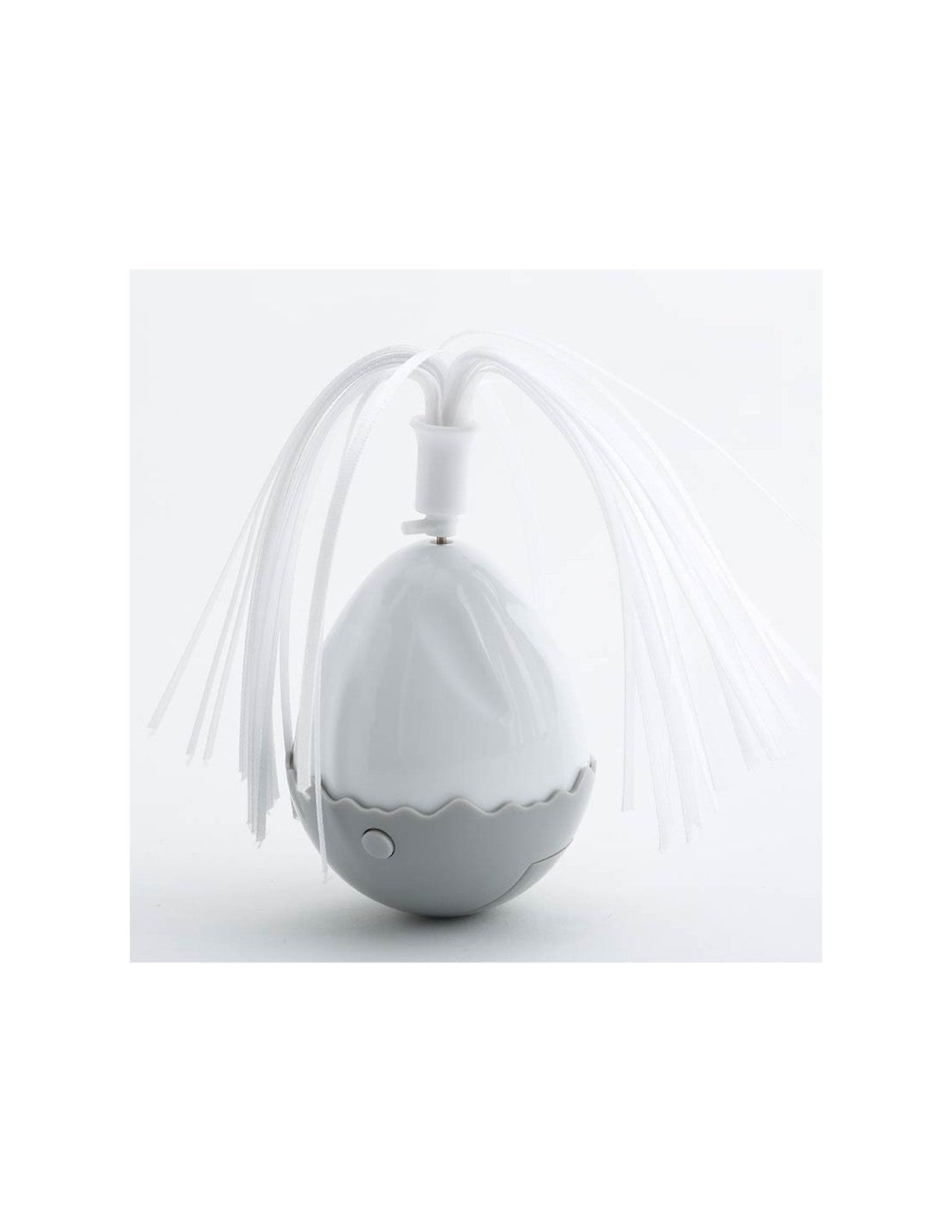 Oeuf électronique – photo 6