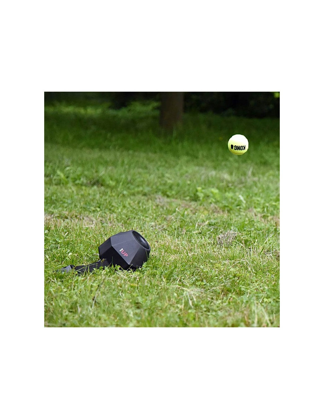 Lanceur de balle vertical télécommandé DogTrace d-ball UP