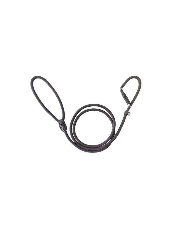 Laisse lasso noire 165 cm