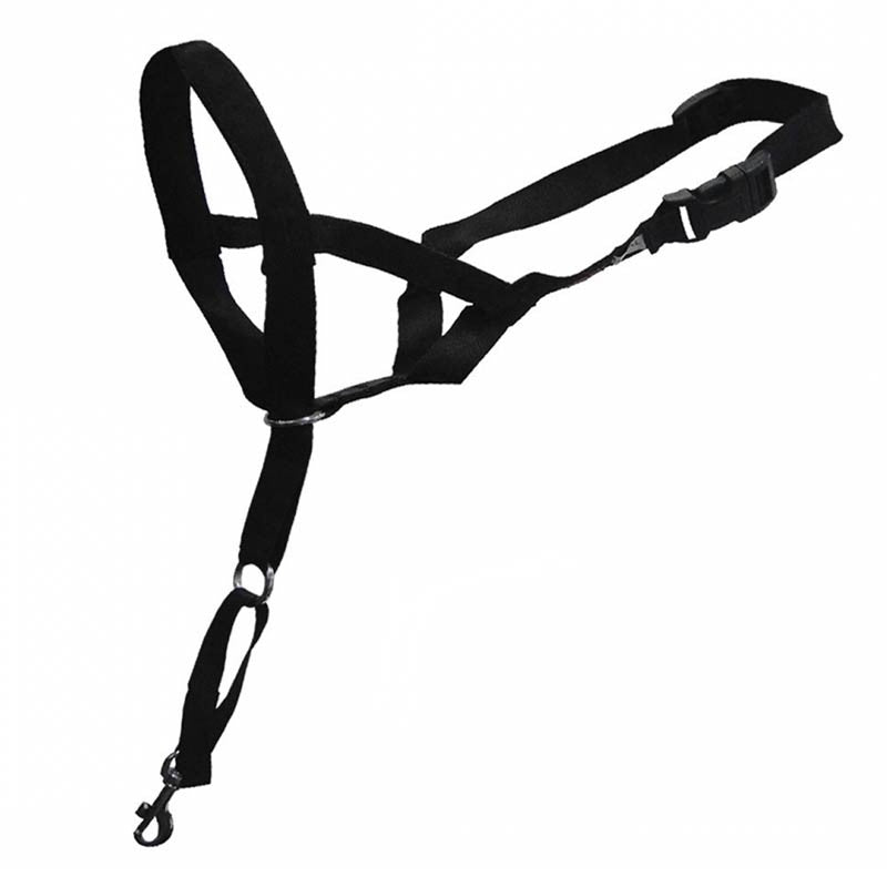 Licol de dressage anti-traction Ibáñez Dogway Dog Guider photo 3