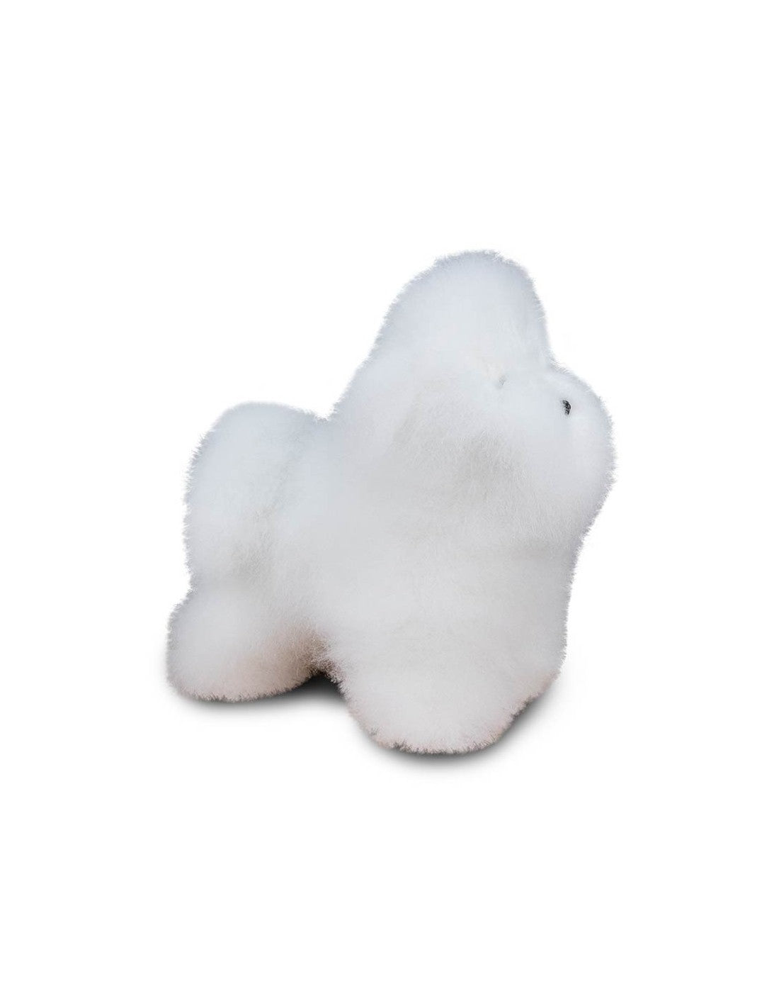 Mannequin + Fourrure Bichon Frisé Model Dog – photo 4
