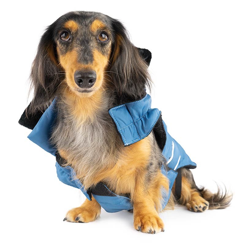 Manteau à capuche Ibáñez Inuit doublé polaire pour chien photo 5