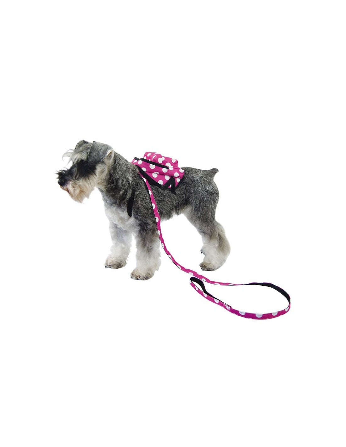 Harnais sac à dos à pois pour petits chiens – photo 5