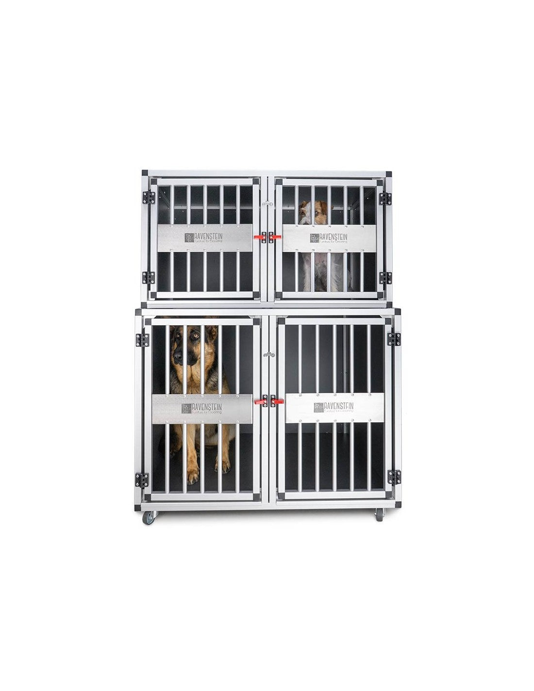 Cage d'Attente Boxpro – photo 8