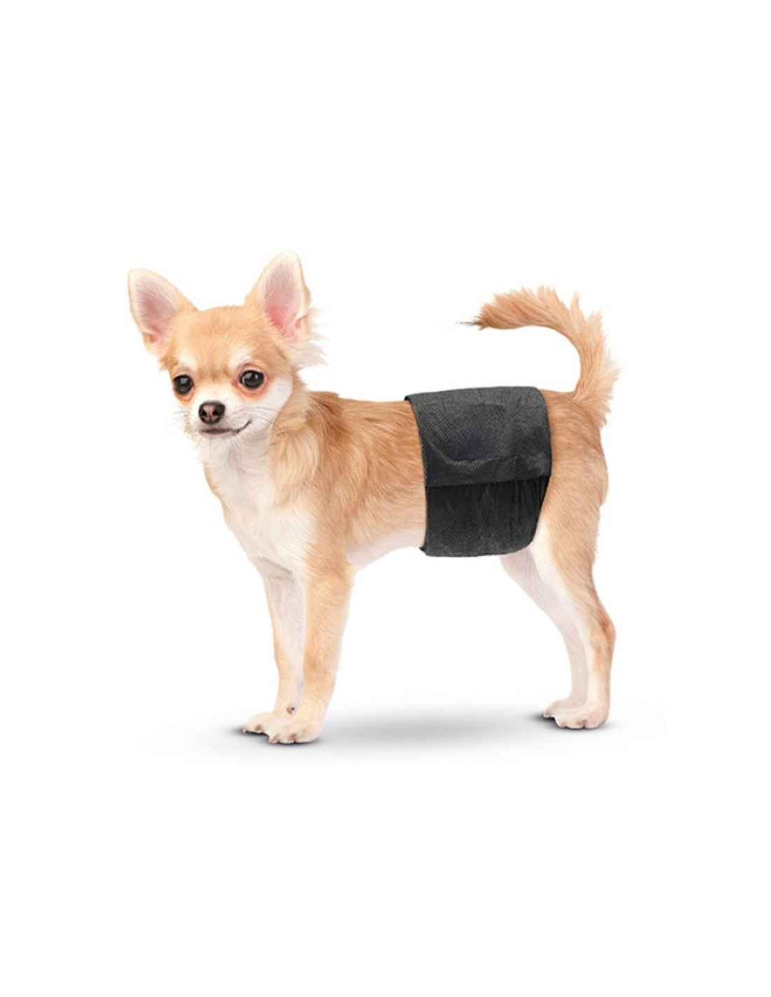 Ceintures de propreté jetables chien mâle (x12)