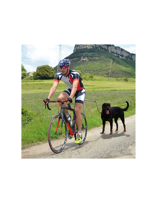 Ibá Dogcycle