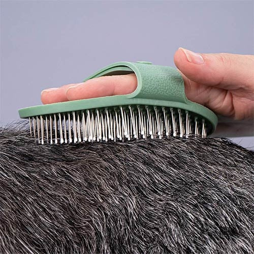 Brosse pour Terriers