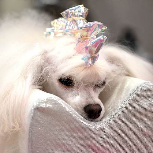 Feuilles pour Papillotes brillantes (x100)