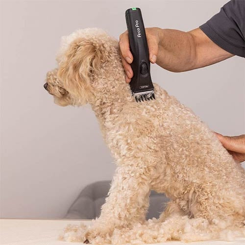 Wahl Arco Pro