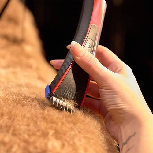 Wahl Bravura 2 *Nouveau*