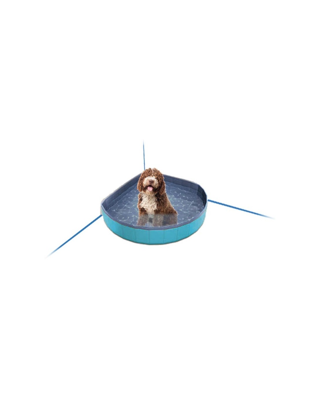 Piscine pour chien (3 tailles au choix) – photo 11