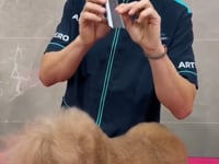 Vidéo de présentation : peigne volume Artero Bear dents courbes